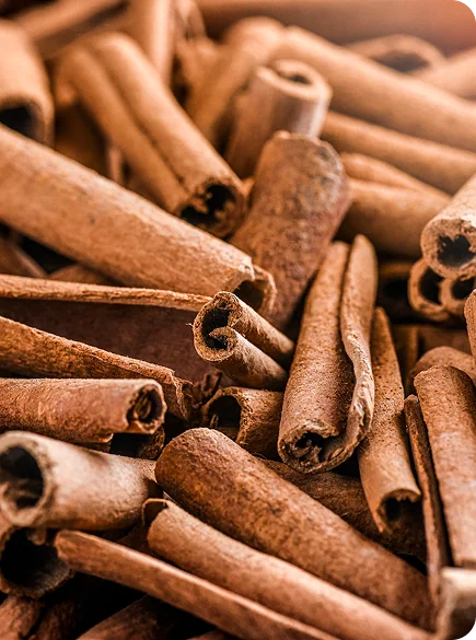 canela de veracruz finno